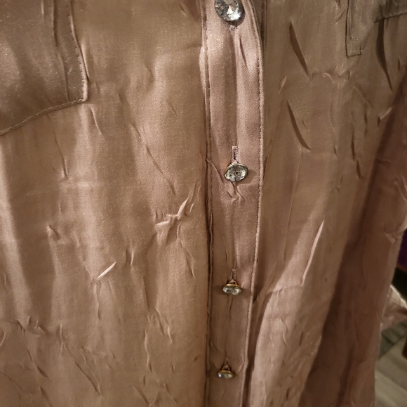 Fawn shimmer buttondown - Picture 3 of 7